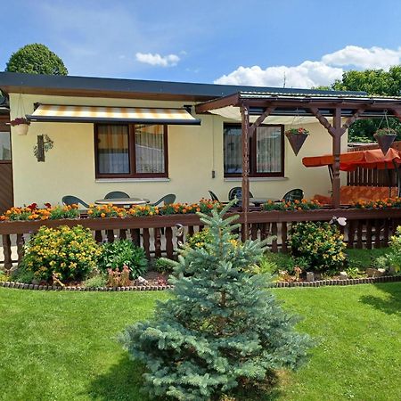 Ferienwohnung-Ullmann Ehrenfriedersdorf Екстериор снимка